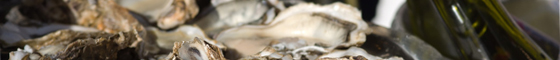 D&eacute;couvrez nos sp�cialit&eacute;es de poisson.